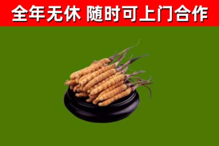 纳溪烟酒回收冬虫夏草.jpg
